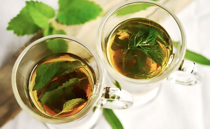 Manfaat Obat Herbal untuk Kesehatan