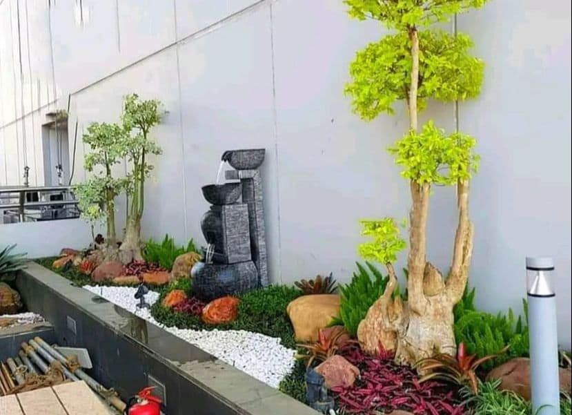 Taman Kering, Dekorasi Sederhana di Lahan Sempit yang Tetap Membuat Rumah Estetik